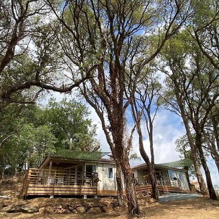 Les Chalets Des Iles Borgo  Bagian luar foto